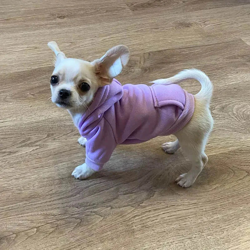 Cozy Pet Clothes with Pocket Dog Hoodies For Small Dogs Pets Clothing All Season Knit Cat Clothes Pet Apparel