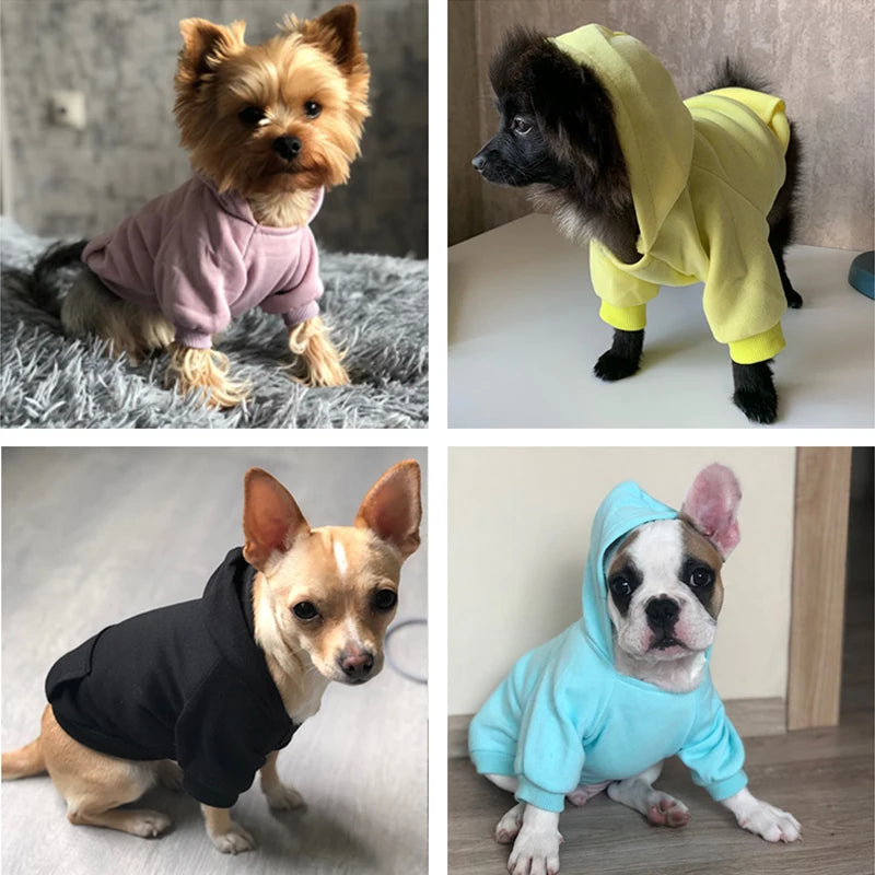 Cozy Pet Clothes with Pocket Dog Hoodies For Small Dogs Pets Clothing All Season Knit Cat Clothes Pet Apparel